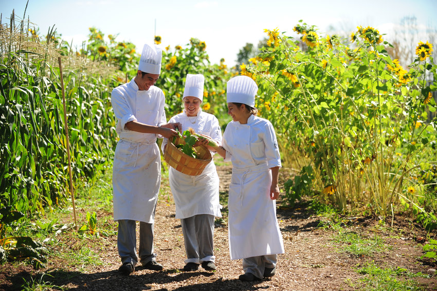 When farm to table means exactly that: SUNY Sullivan and its organic farm.